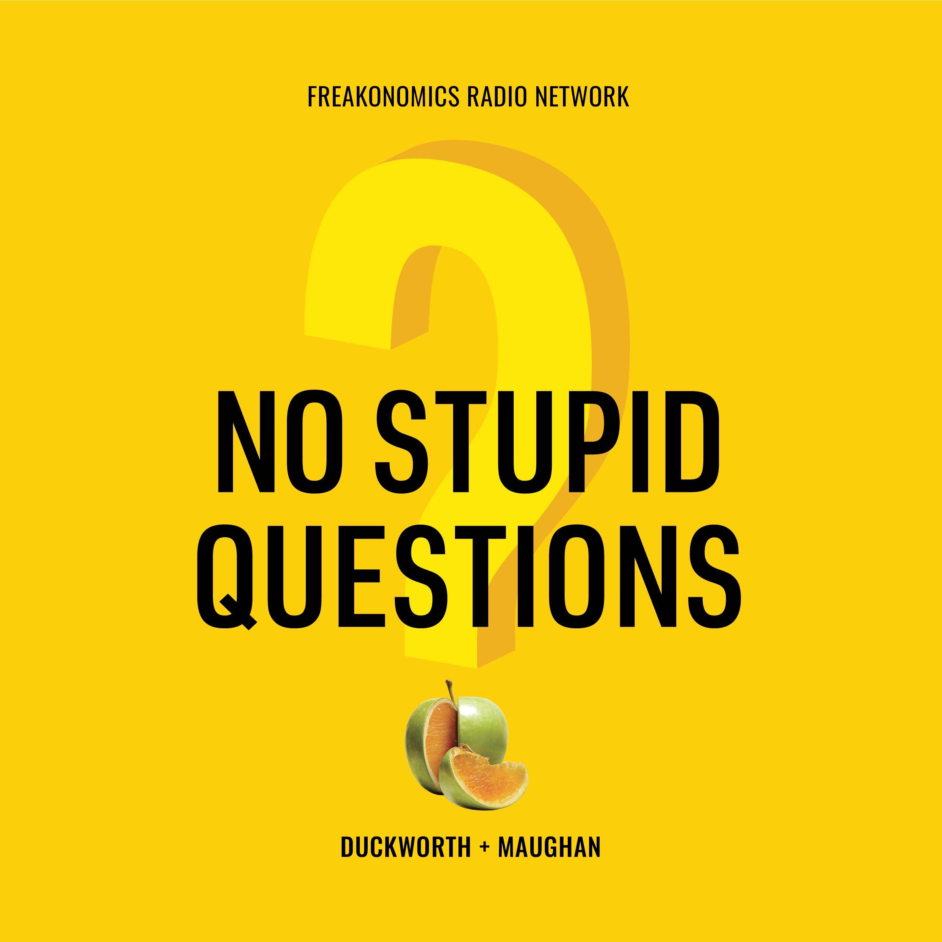 Show poster of No Stupid Questions