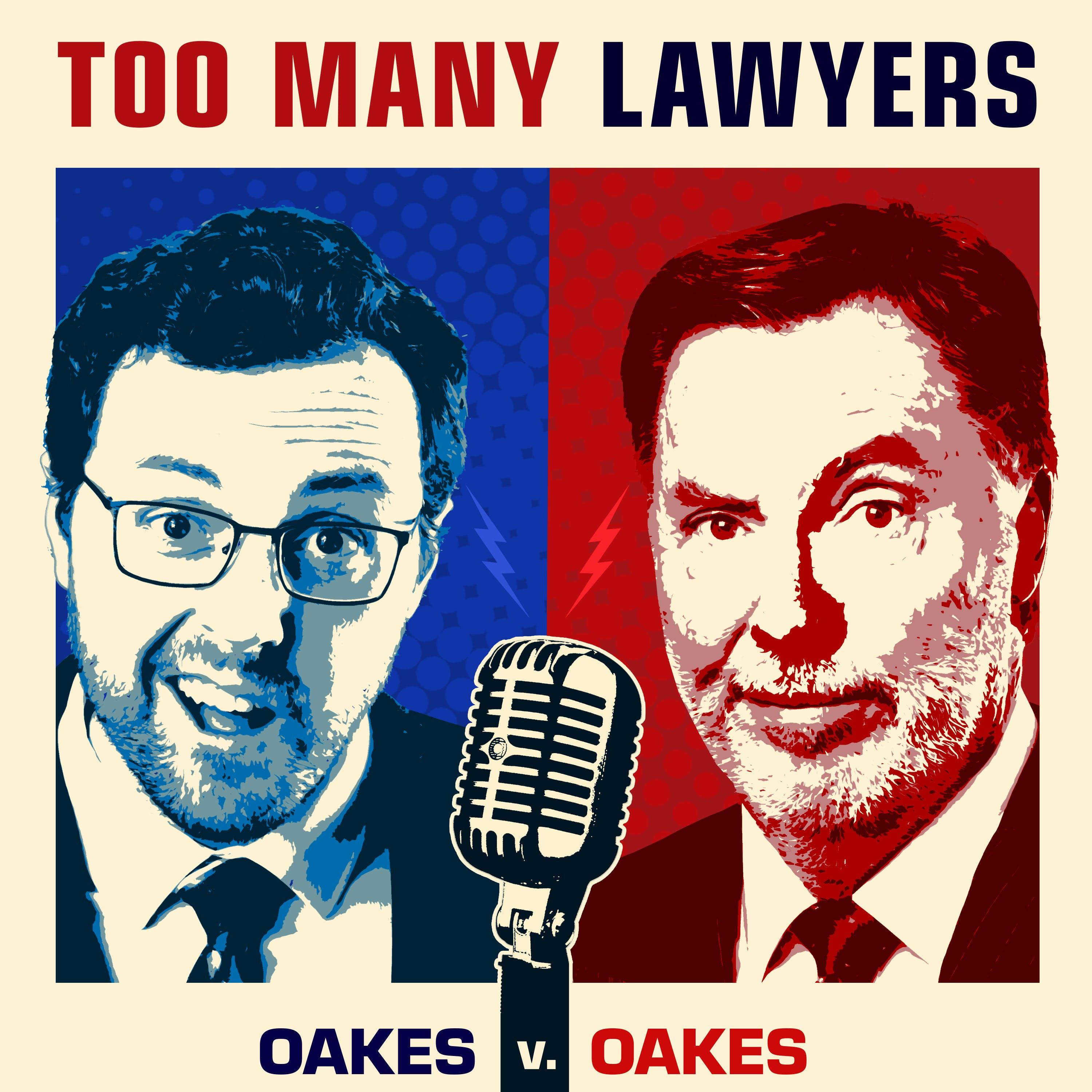 Show poster of Too Many Lawyers