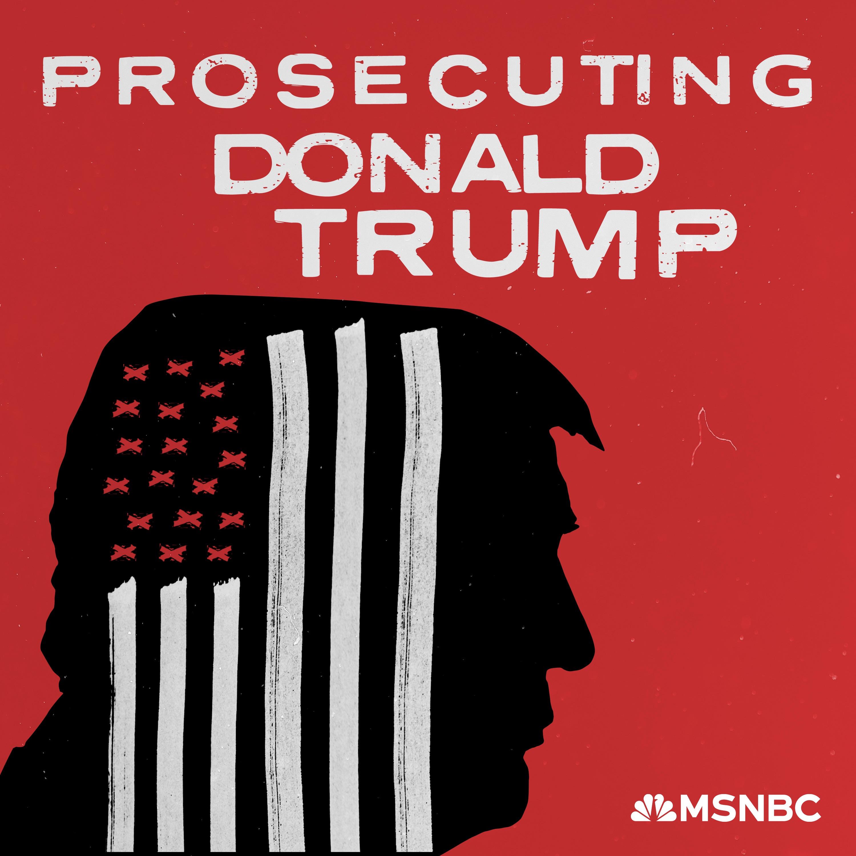 Show poster of Prosecuting Donald Trump