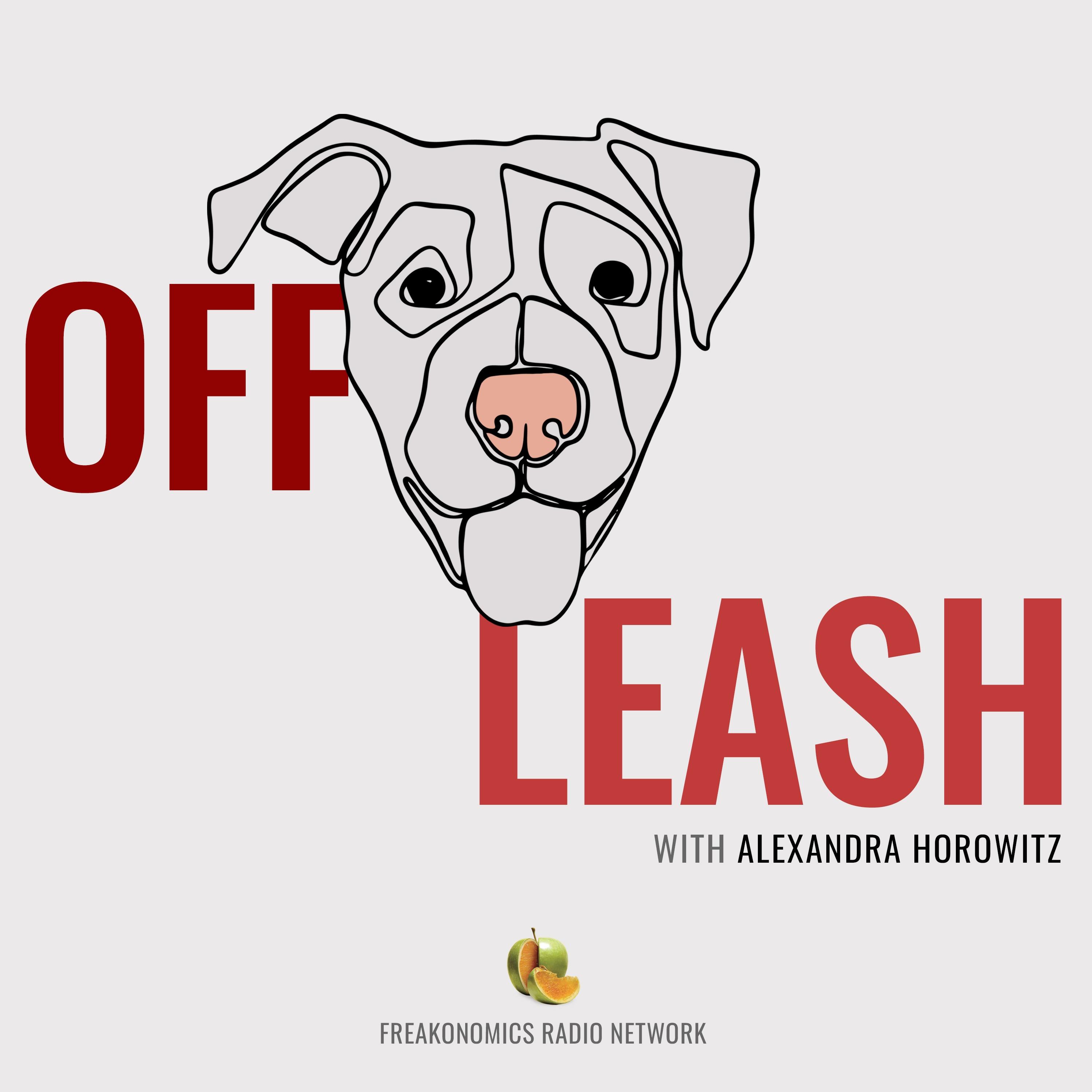 Show poster of Off Leash